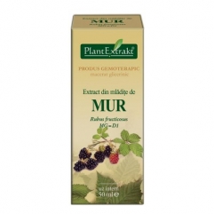 Extract din mladite de MUR - Rubus fructicosus 50 ml